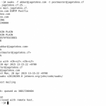 Menggunakan swaks untuk testing mail server